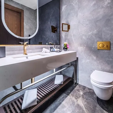 Radisson Collection Vadi Hotel Istanbul