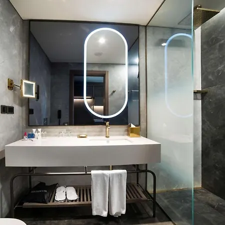 Hotel Radisson Collection Vadi Istanbul